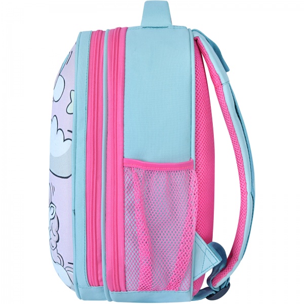 Ранец школьный Bagland Turtle 13466 (суб. 1350)