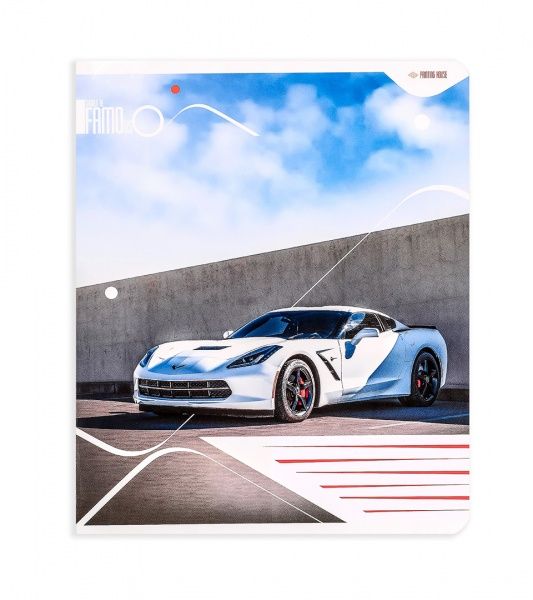 Комплект зошитів Популярні автомобілі 24 аркуша в клітку 20 шт. Поділля