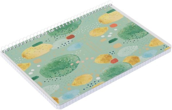 Тетрадь школьная А5 96 листов в клеточку A5-SC-096-6061K Student Школярик