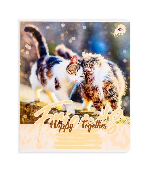 Комплект тетрадей Парочки 24 листа в клетку 20 шт. Поділля