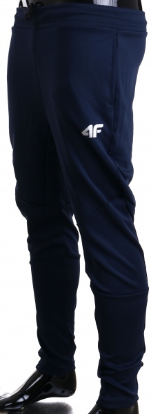 Штани 4F S4L21-SPMTR050-31S р. XXL синій