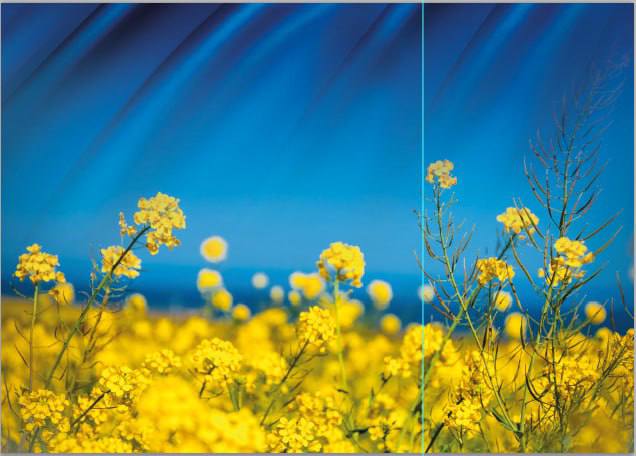 Пакет подарочный