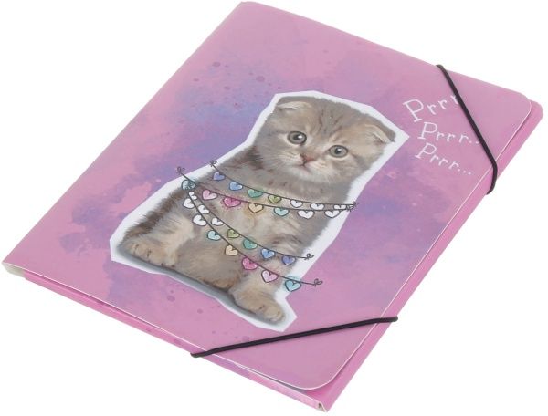 Папка для тетрадей папка для тетрадей на резинке Holiday Cat, 200х230 мм