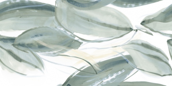 Плитка Emigres Florida-pul Верде 59х119 