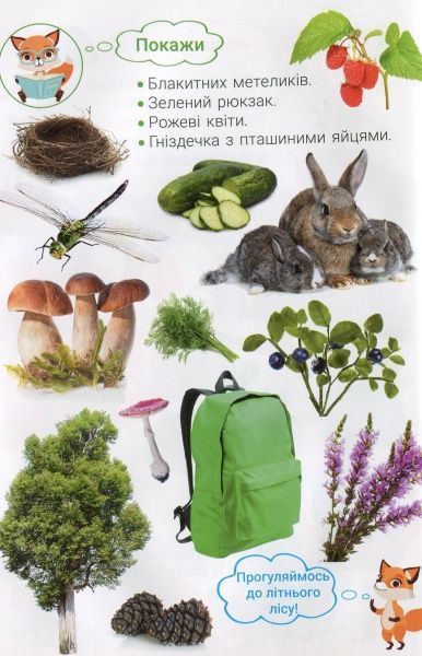 Книга «Фотокнига. Пори року. Серія шукайчик. Тв.обкладинка»