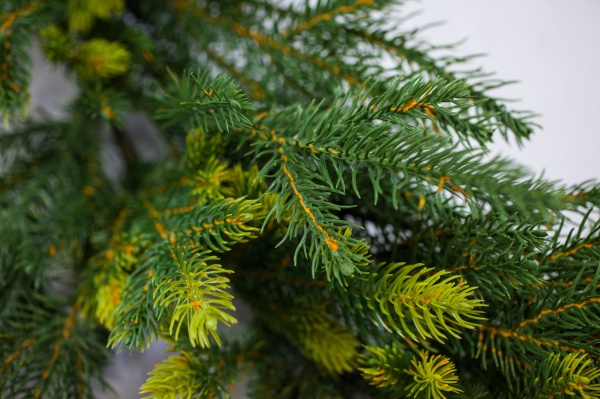 Гірлянда хвойна Маг-2000 №2 1,8 м