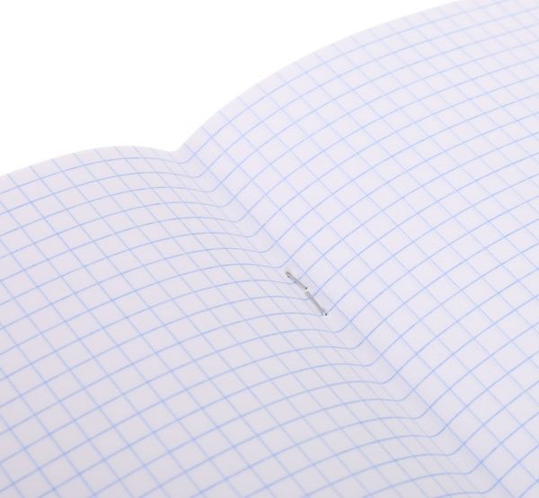 Тетрадь школьная Cat 12 листов клетка 2 Мечты сбываются