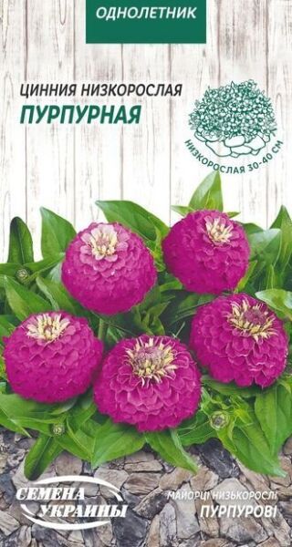 Семена Семена Украины цинния низкорослая пурпурная 807200 0,5 г