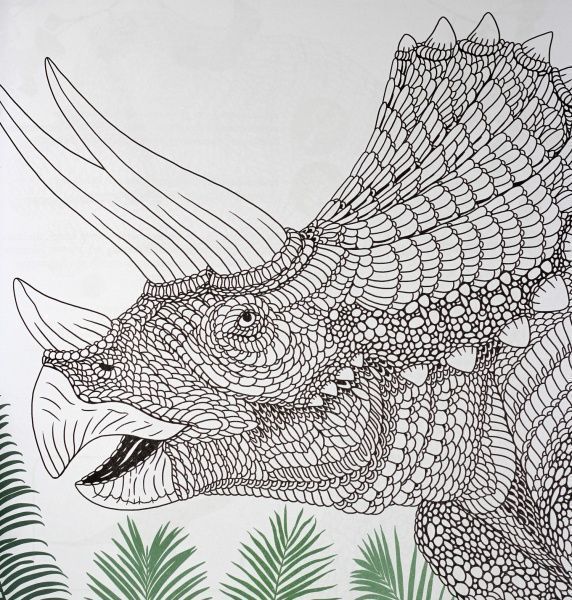 Книга-раскраска Лорен Фарнсворт «Динозаврія» 978-617-7579-12-9