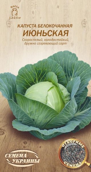 Семена Семена Украины капуста белокочанная Июньская 584900 1г
