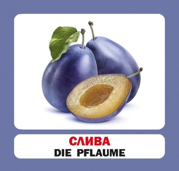 Книга «Навчальний посібник. Фрукти. нім-укр»