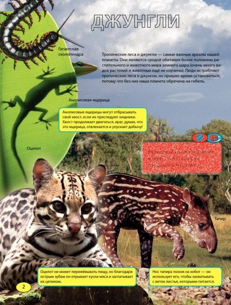 Книга «Невероятные животные» 978-966-14-6921-0