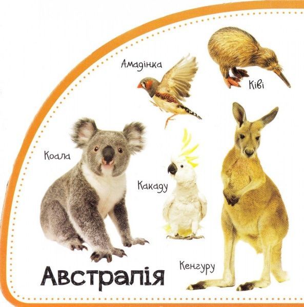 Книга Мария Жученко «Тварини. Дивимось і запам'ятовуємо» 978-966-942-069-5