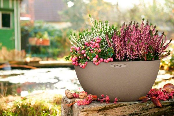 Вазон декоративный Lechuza Cubeto Color 40 круглый 3/11,5л светло-бежевый (13841) 