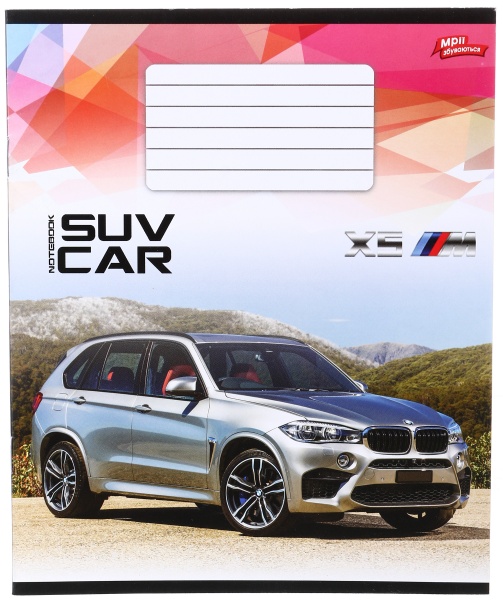 Тетрадь школьная 18 листов в линейку в ассортименте Мечты сбываются