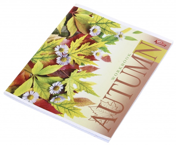 Зошит шкільний 60 аркушів у клітинку в асортименті Мрії збуваються