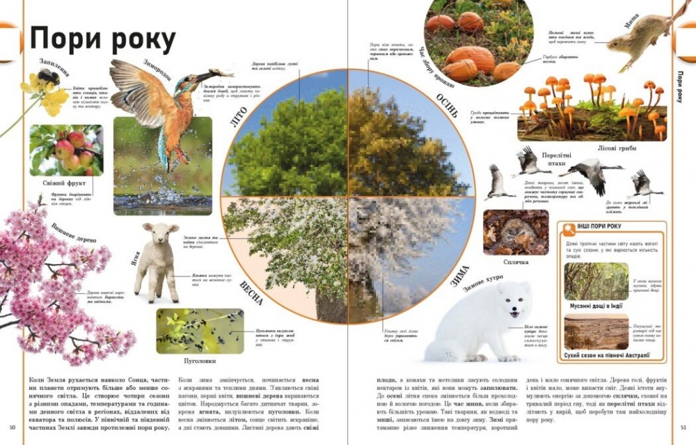 Книга Брайан Ким «Наш світ у малюнках» 978-617-09-8775-4