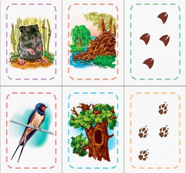 Книга «Книга. Знайди та збери : Хто де живе? (у)»