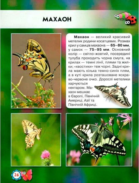 Книга Тамара Протасовицкая «Світ навколо нас. Комахи» 978-966-9369-20-8