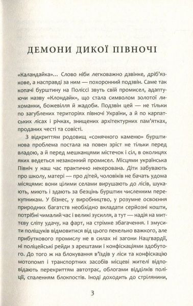 Книга Василь Тібель «Бурштин» 978-617-09-3922-7