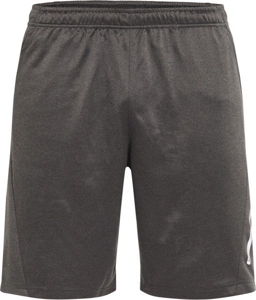 Шорти Energetics Moro ux 294835-31 р. L сірий