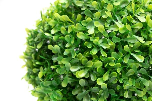 Рослина штучна Самшит св-зелений 23 см 960170 Девілон