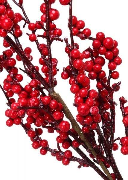 Декорація новорічна Гілка з червоними ягодами 60см EPI-A347496R 