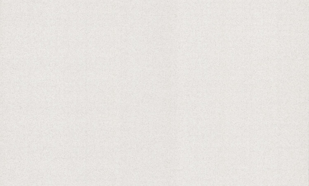 Шпалери вінілові на флізеліновій основі Bravo 81119BR03 1,06x10,05 м