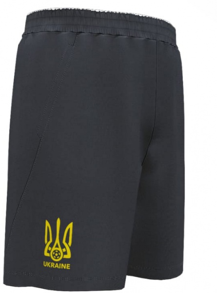 Шорти Joma FOOTBALL UKRAINE AT102369B331 р. S сірий