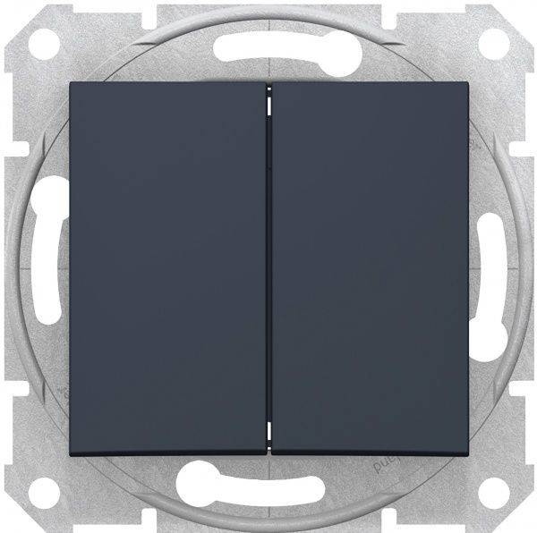 Вимикач двоклавішний Schneider Electric без підсвітки 10 А 250В графіт SDN0600170