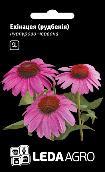 Семена LedaAgro эхинацея пурпурно-красная 0,1 г (4820119794838)