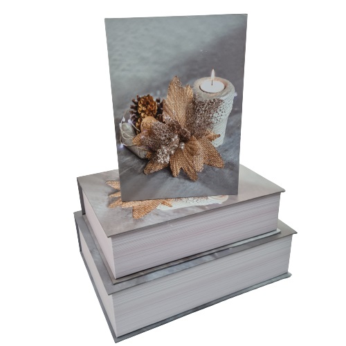 Коробка подарункова Книга 29,5x22,3x8 см 8029-3