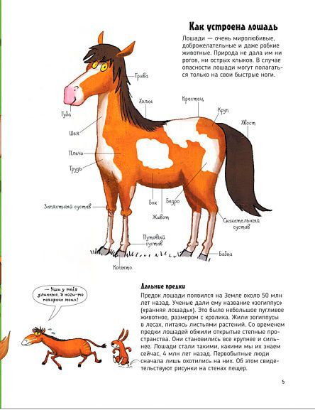 Книга «Книга Коні.Про що говорять тварини.»