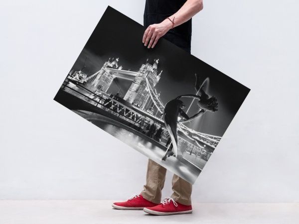 Картина Девушка с дельфином Posterclub 