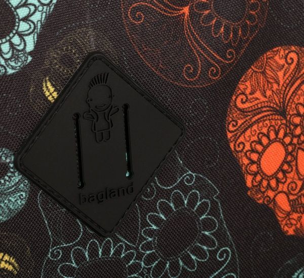 Рюкзак молодіжний Bagland Сублімація 106 Черепи