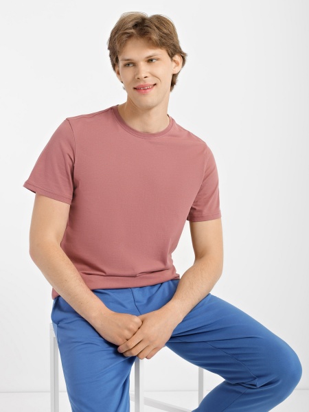 Футболка чоловіча Роза 210135 р.3XL кавовий