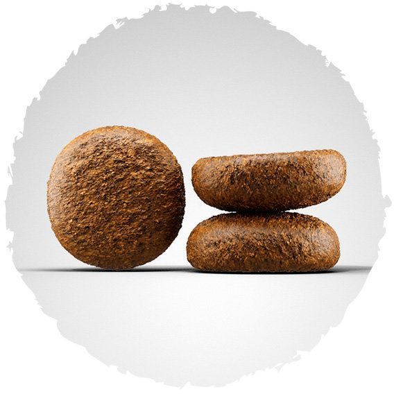 Корм Josera Active Nature для активных собак 15 кг