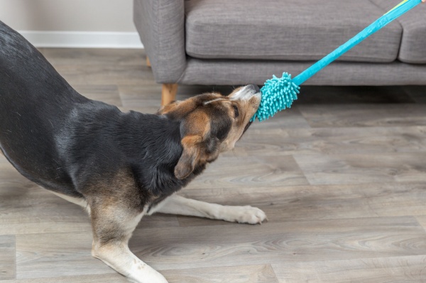 Игрушка Trixie Bungee Fun для тренировок полиэстер 20см/47см в ассортименте (32866)