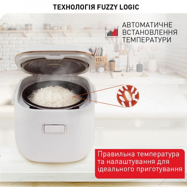 Мультиварка Tefal Mini Multicooker RK601134 