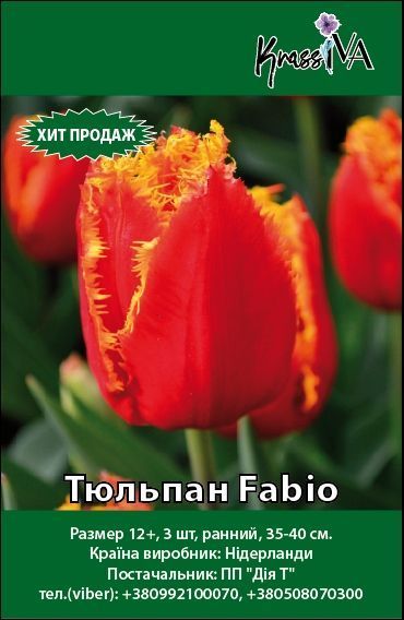 Луковица Тюльпан Fabio 3 шт. 
