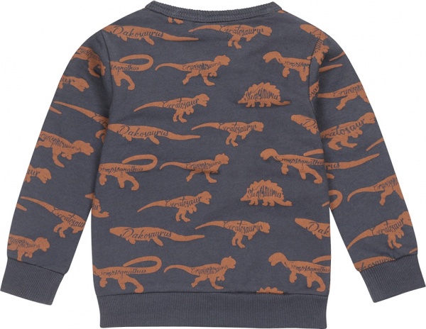 Свитшот для мальчика Dirkje р.80 темно-синий U44687-35 