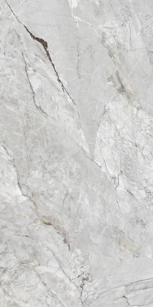 Плитка Allore Group Alpina Silver F P R Sumat 60х120 см