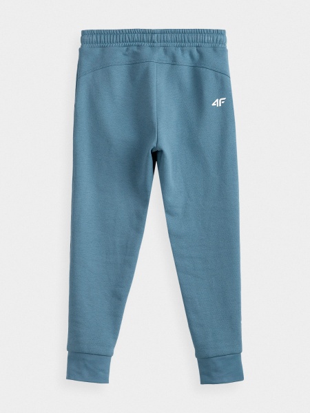 Брюки 4F HJZ21-JSPDD001-32S р. 146 бирюзовый