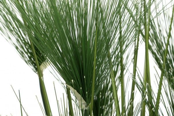 Растение искусственное Стангерия в металлическом горшке 91 см