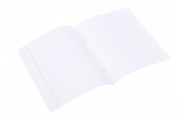 Тетрадь школьная Kitten 12 листов клетка Nota Bene