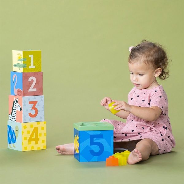 Сортер Taf Toys Кубики Африка 12725