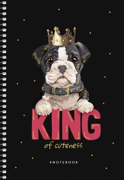 Тетрадь школьная А5 80 листов в клеточку A5-SC-080-6077K Student Школярик