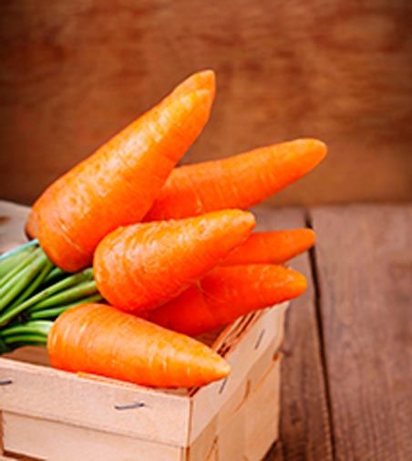 Насіння Садовий Світ морква Каротель 2г