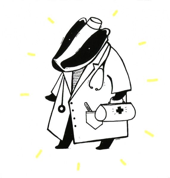 Книга Романа Рубан «Славные профессии барсука» 978-617-739-509-5