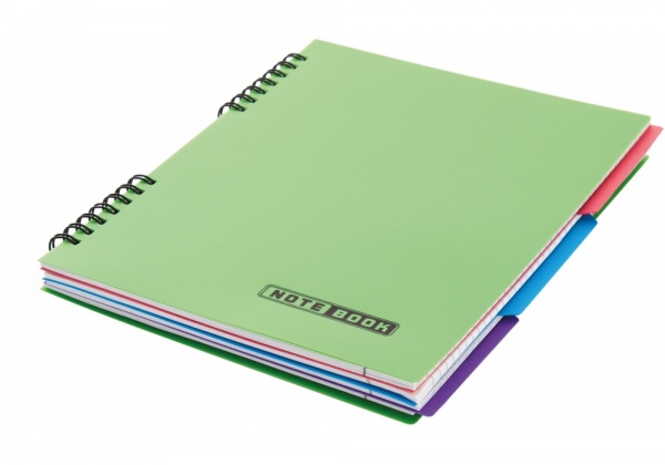 Блокнот евроспираль 120 листов E20225 Economix